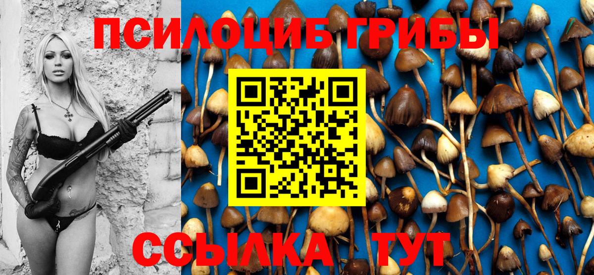 Псилоцибиновые грибы прущие грибы Чусовой