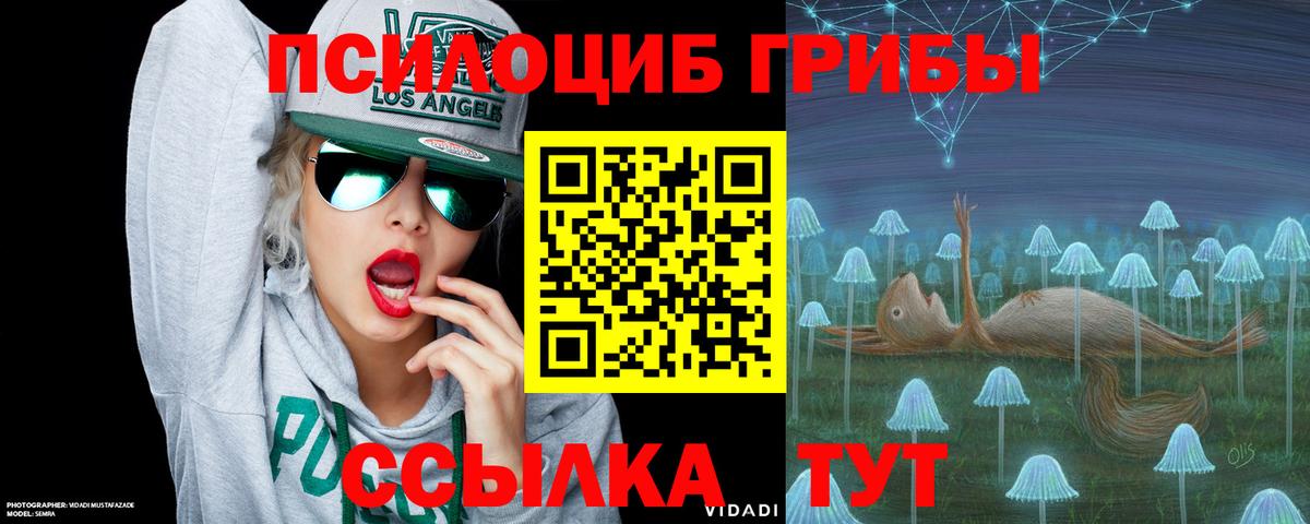 Чусовой  закладка  Вход с VPN  Псилоцибиновые грибы Magic Shrooms 